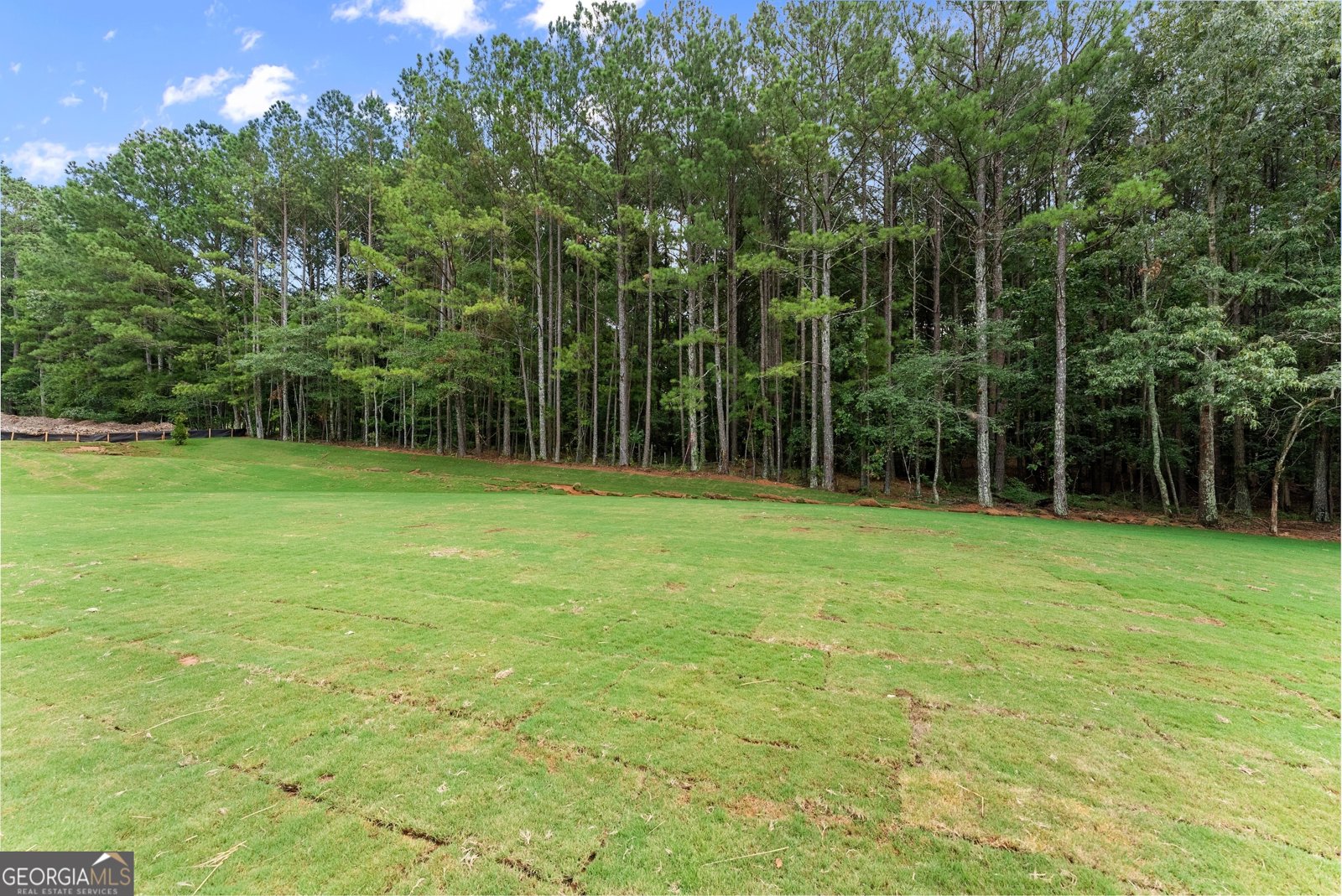 1682 Mineral Springs Road Hoschton - 11