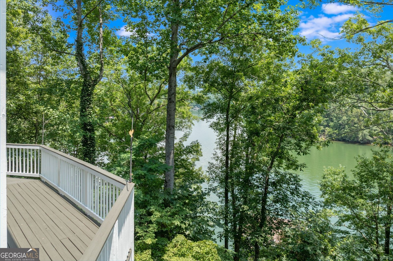 537 Chestatee View Drive Dawsonville - 53