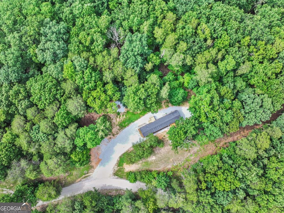 1458 Grant Mill Road Alto - 2