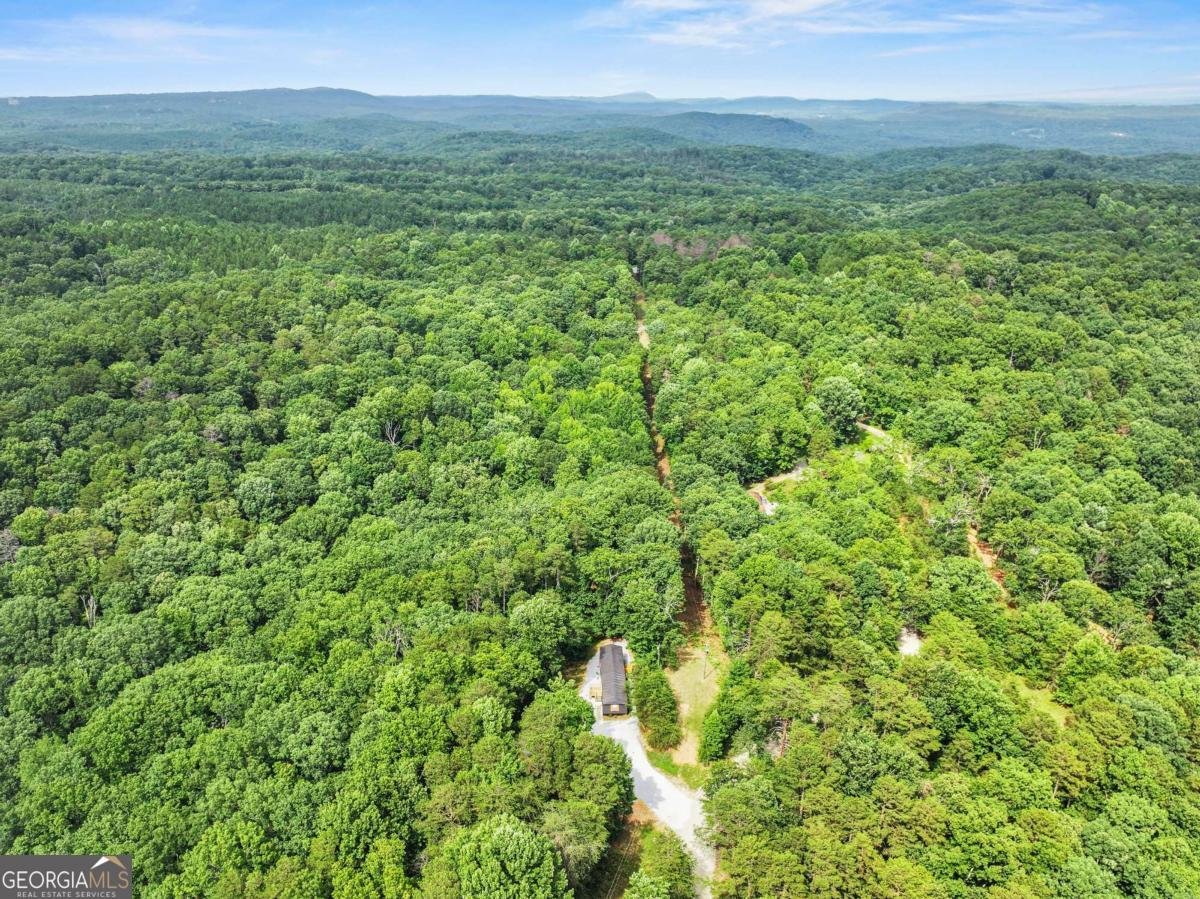 1458 Grant Mill Road Alto - 3