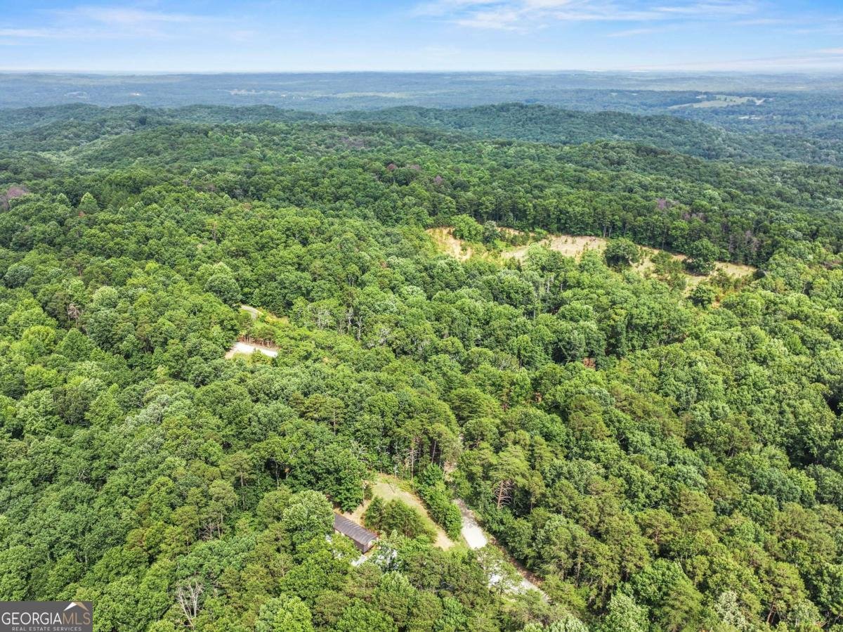 1458 Grant Mill Road Alto - 4
