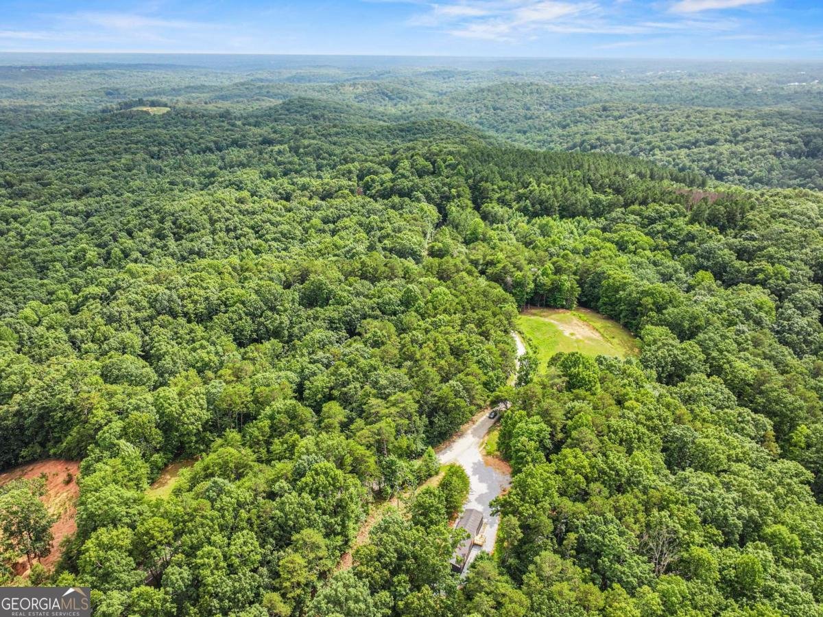 1458 Grant Mill Road Alto - 5