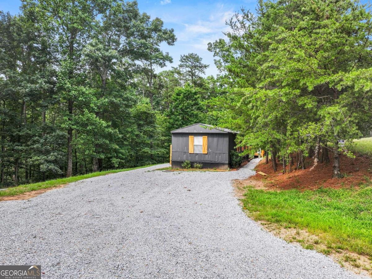 1458 Grant Mill Road Alto - 6