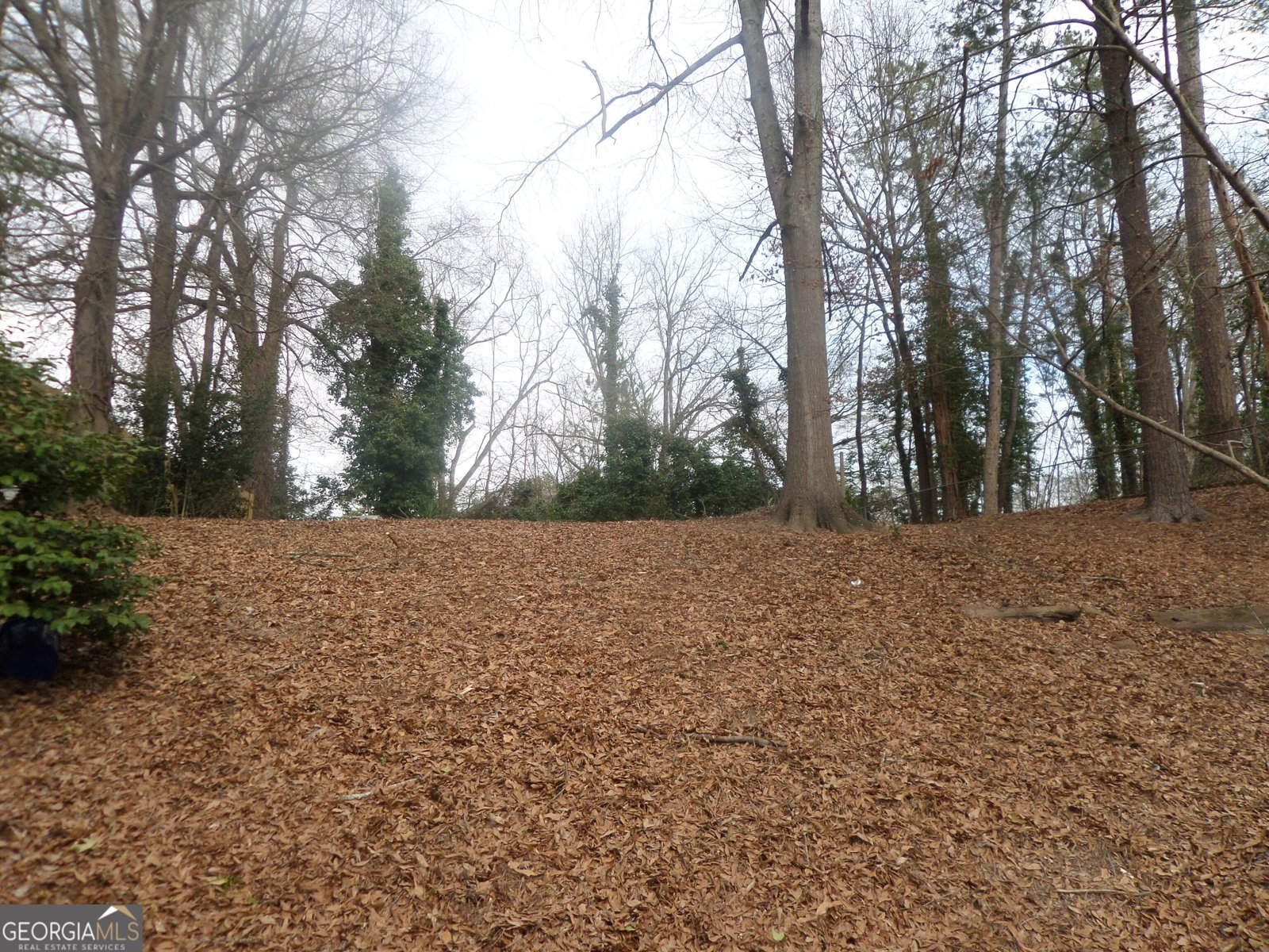 394 Christopher Drive Gainesville - 3