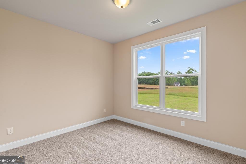 123 Oak Road Locust Grove - 20