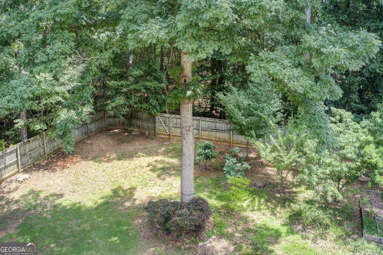 3029 Clove Tree Lane Woodstock - 13