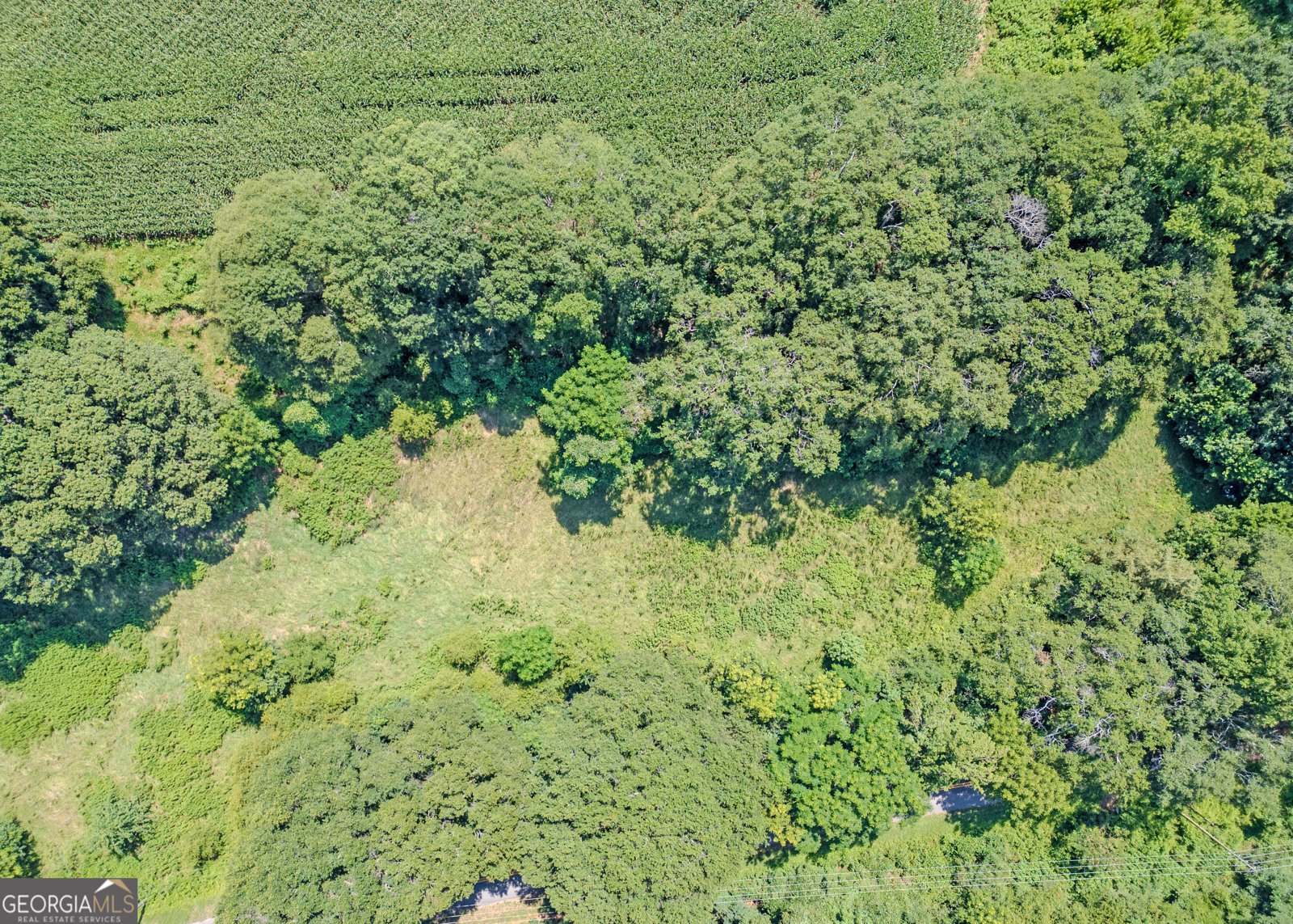 1683 Dove Drake Road Royston - 3