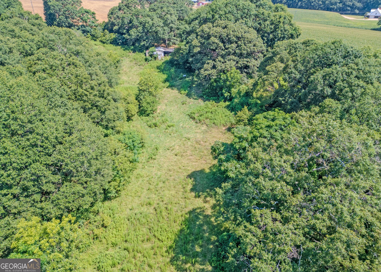1683 Dove Drake Road Royston - 5