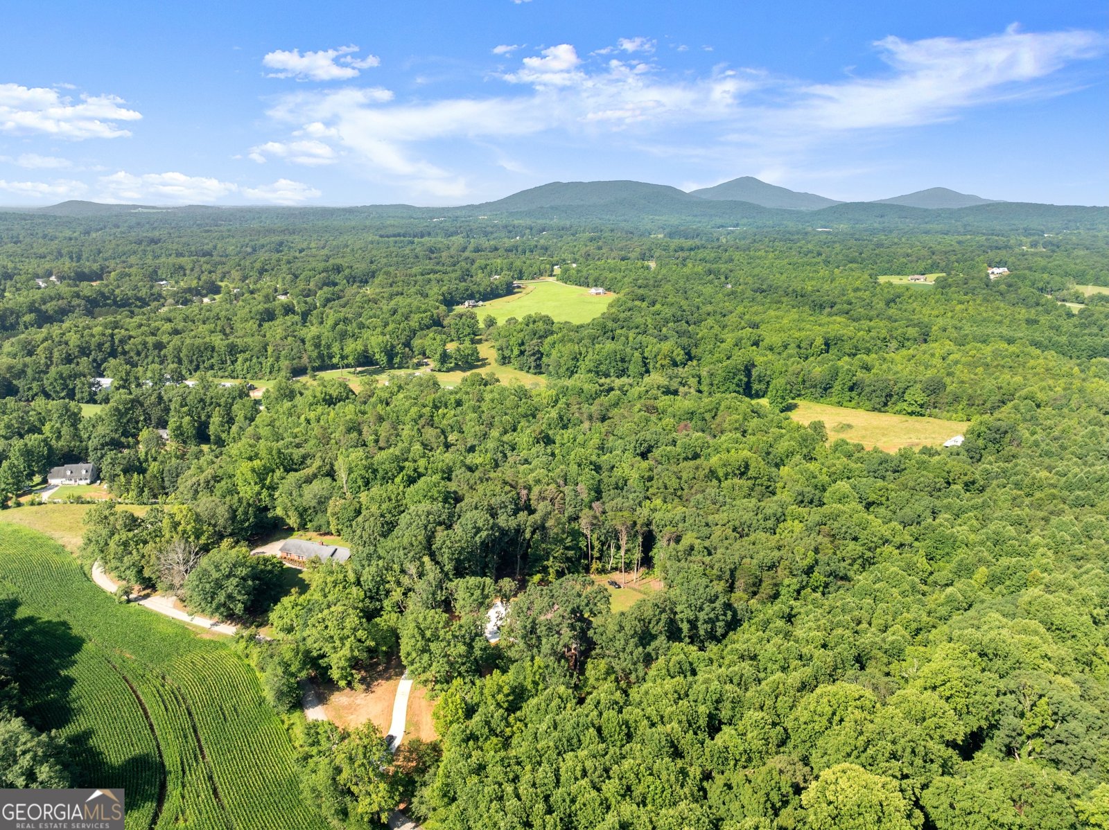 234 Mossy Creek Church Road Cleveland - 6