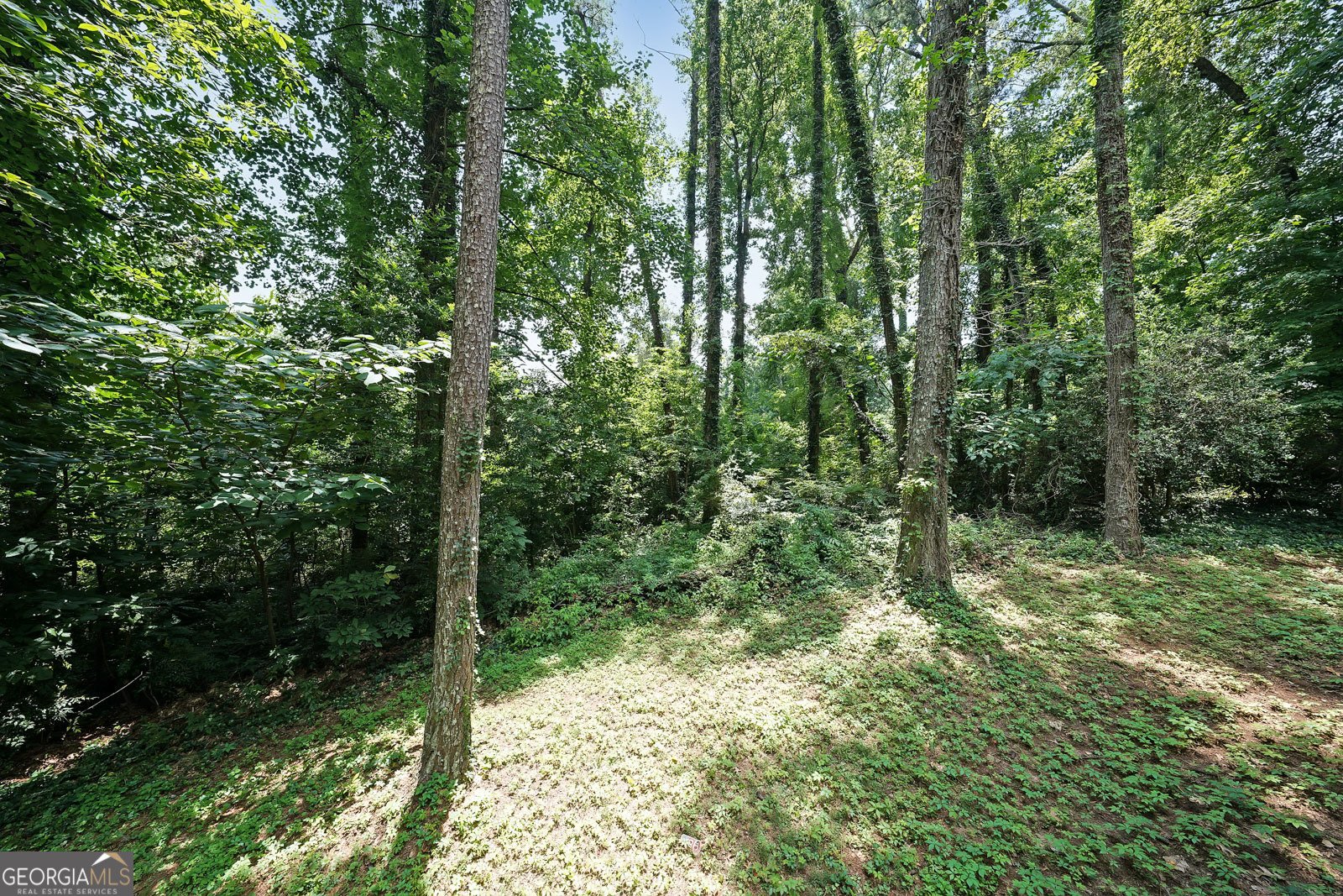 3038 Skidaway Court Stone Mountain - 32