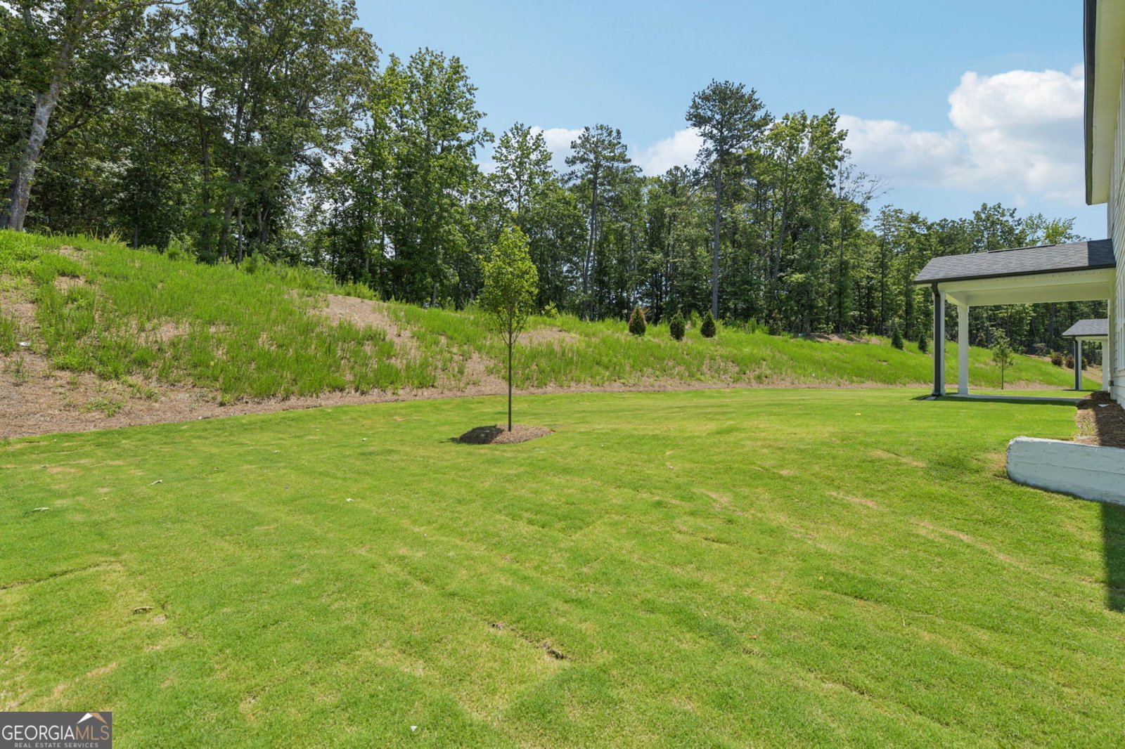 5737 Cabernet Lane Lane Braselton - 6