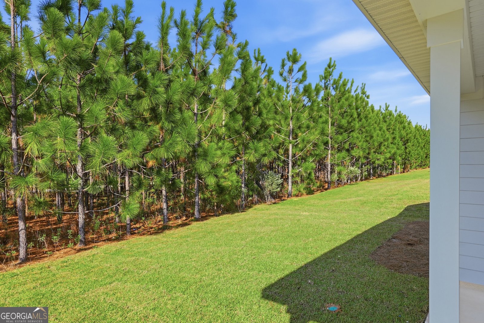 512 Outpost Way Statesboro - 31