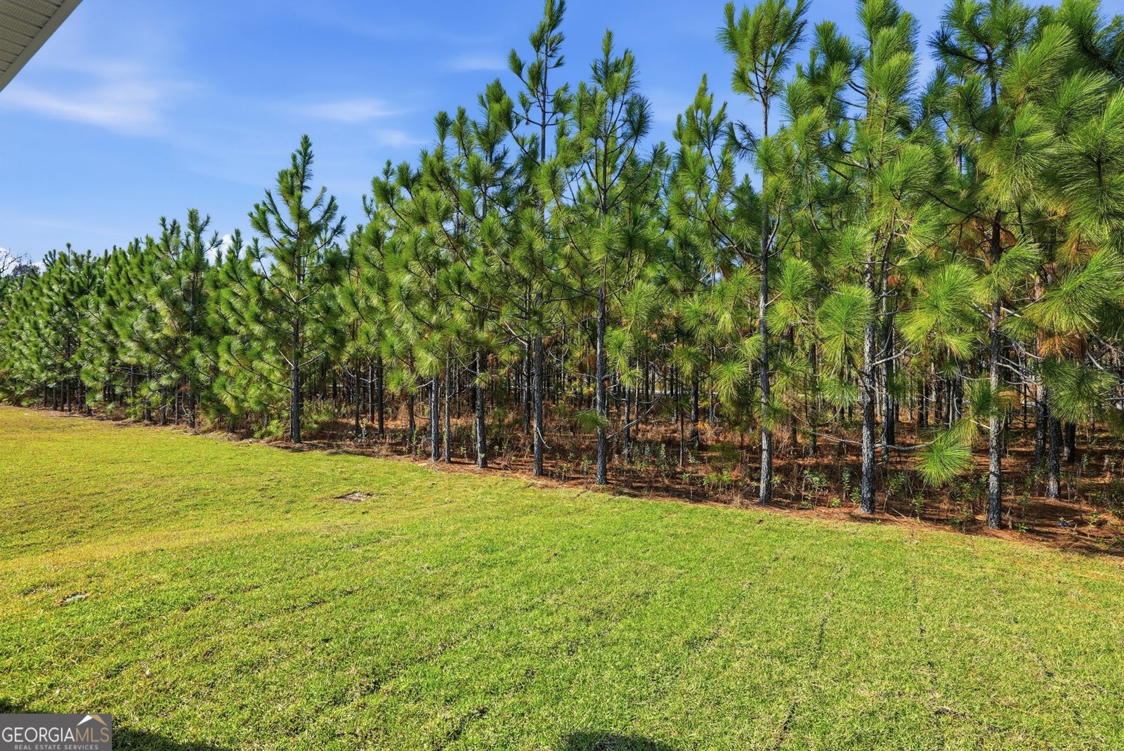 512 Outpost Way Statesboro - 32