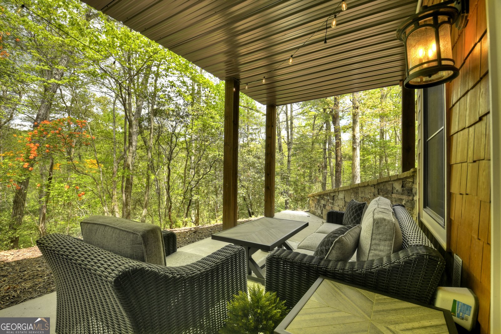 2634 Mountain Tops Road Blue Ridge - 10
