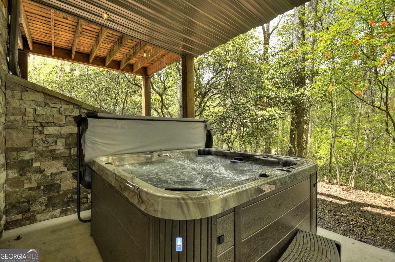 2634 Mountain Tops Road Blue Ridge - 8