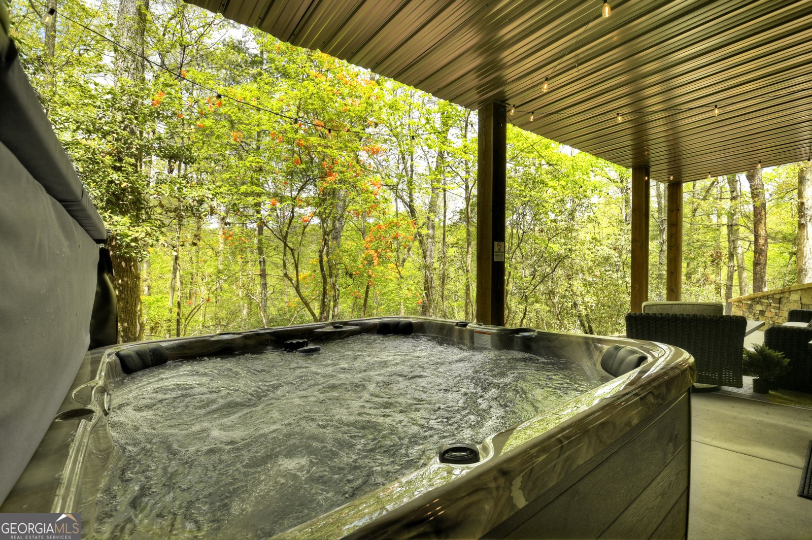 2634 Mountain Tops Road Blue Ridge - 9