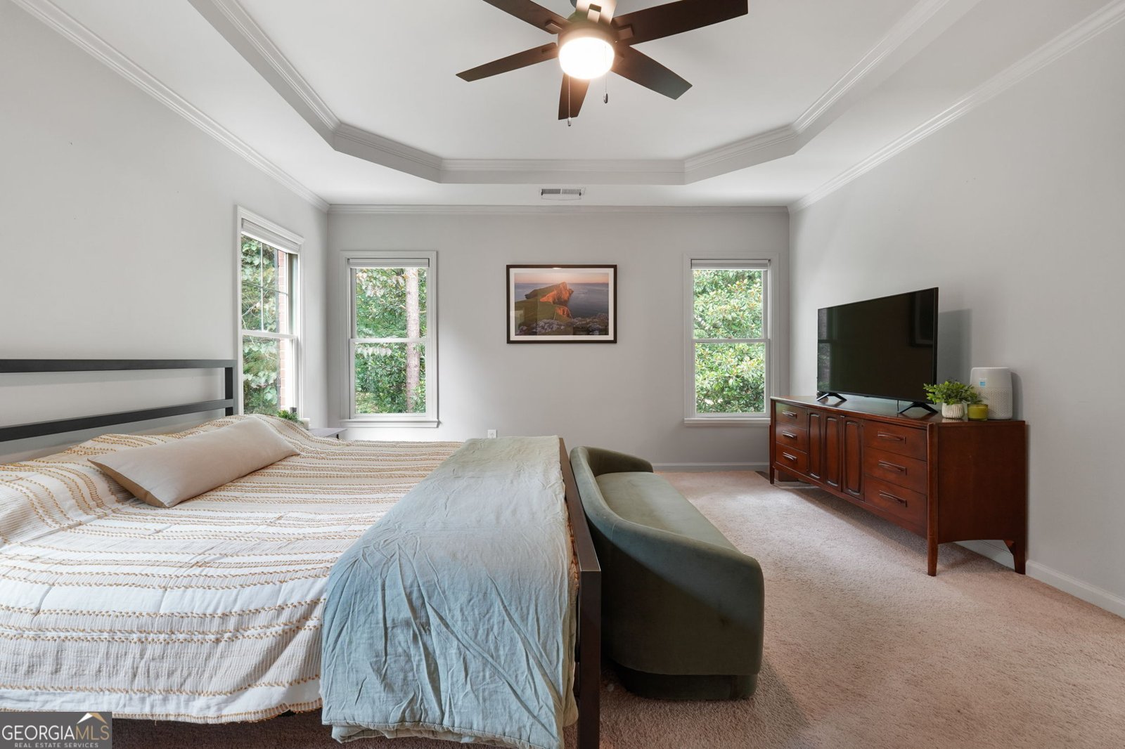 48 Star Spangled Lane Peachtree City - 19