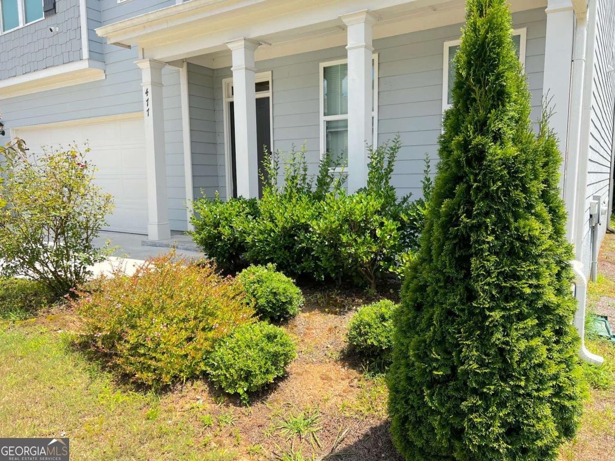 477 Starbuck Parkway Pendergrass - 2