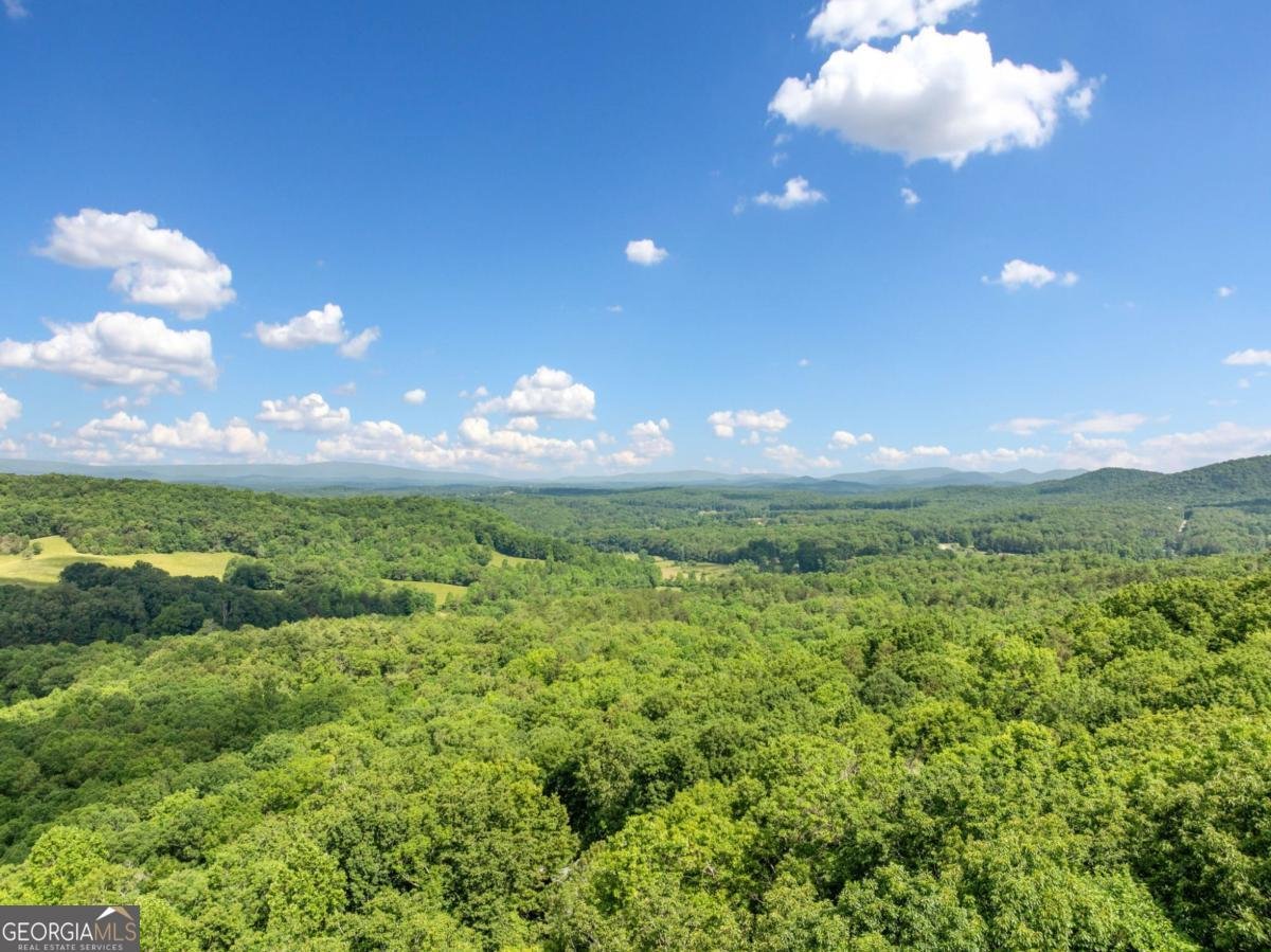 195 Hoot Owl Ridge Morganton - 28