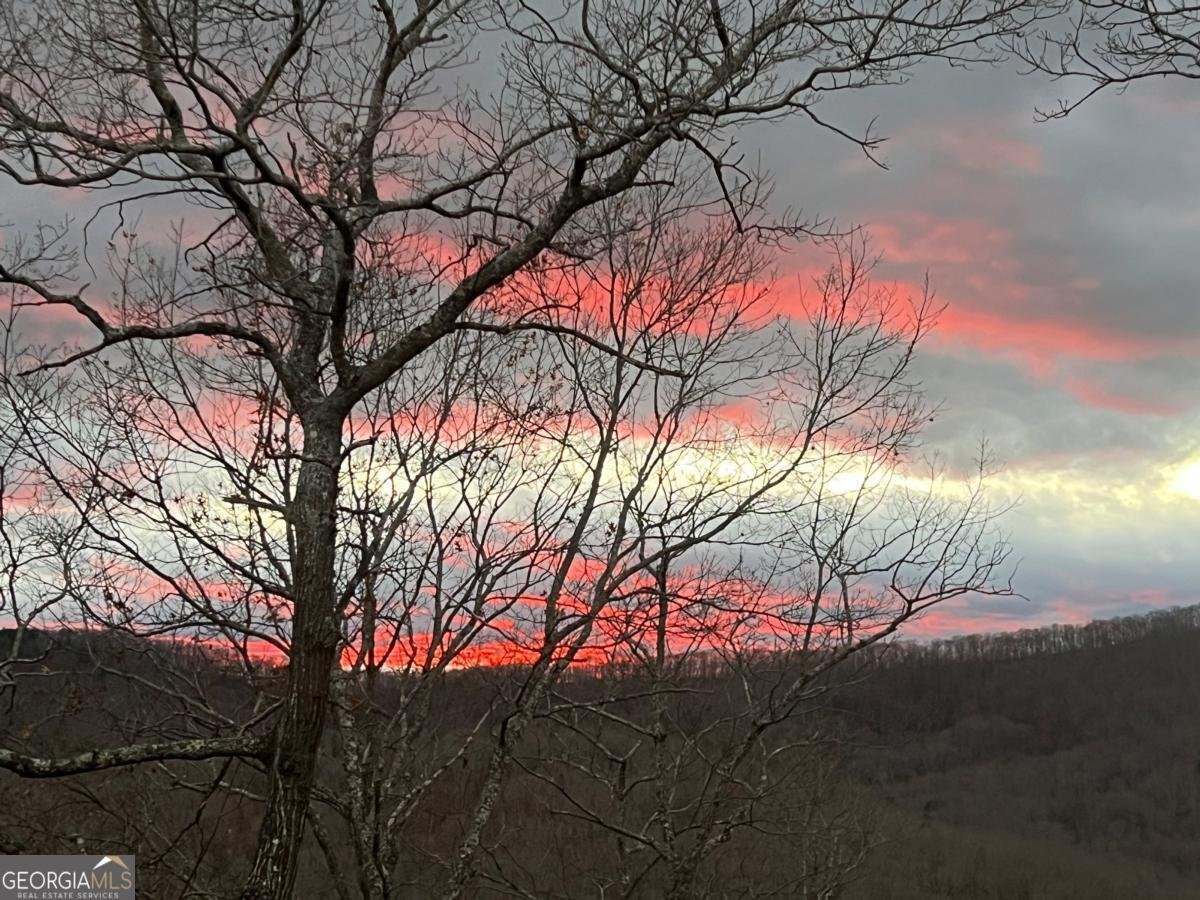 195 Hoot Owl Ridge Morganton - 37