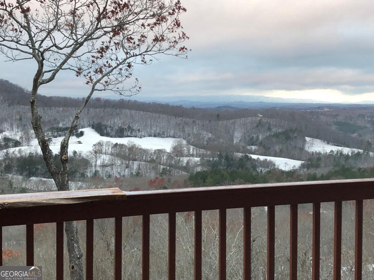 195 Hoot Owl Ridge Morganton - 39