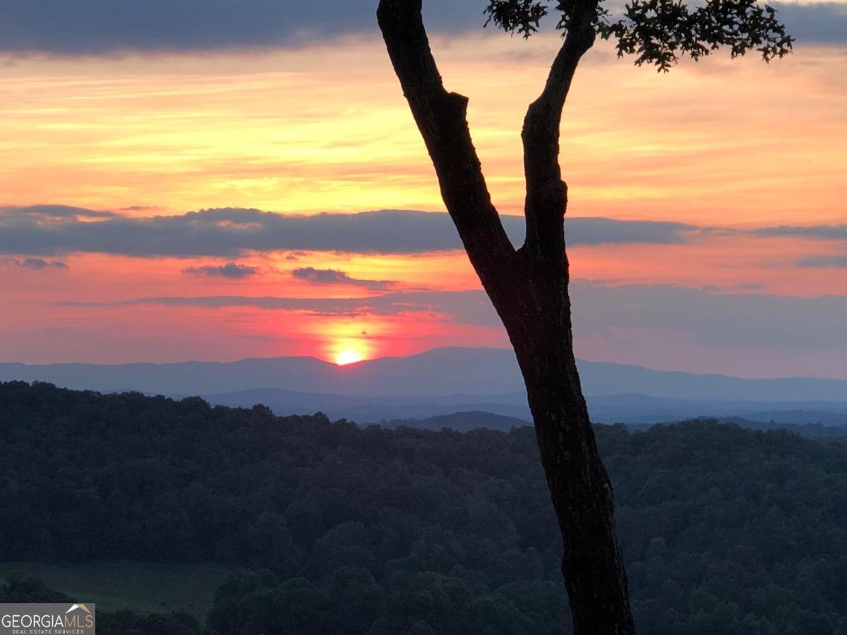 195 Hoot Owl Ridge Morganton - 43