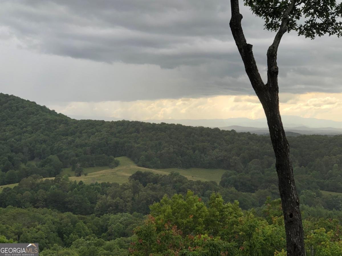 195 Hoot Owl Ridge Morganton - 45
