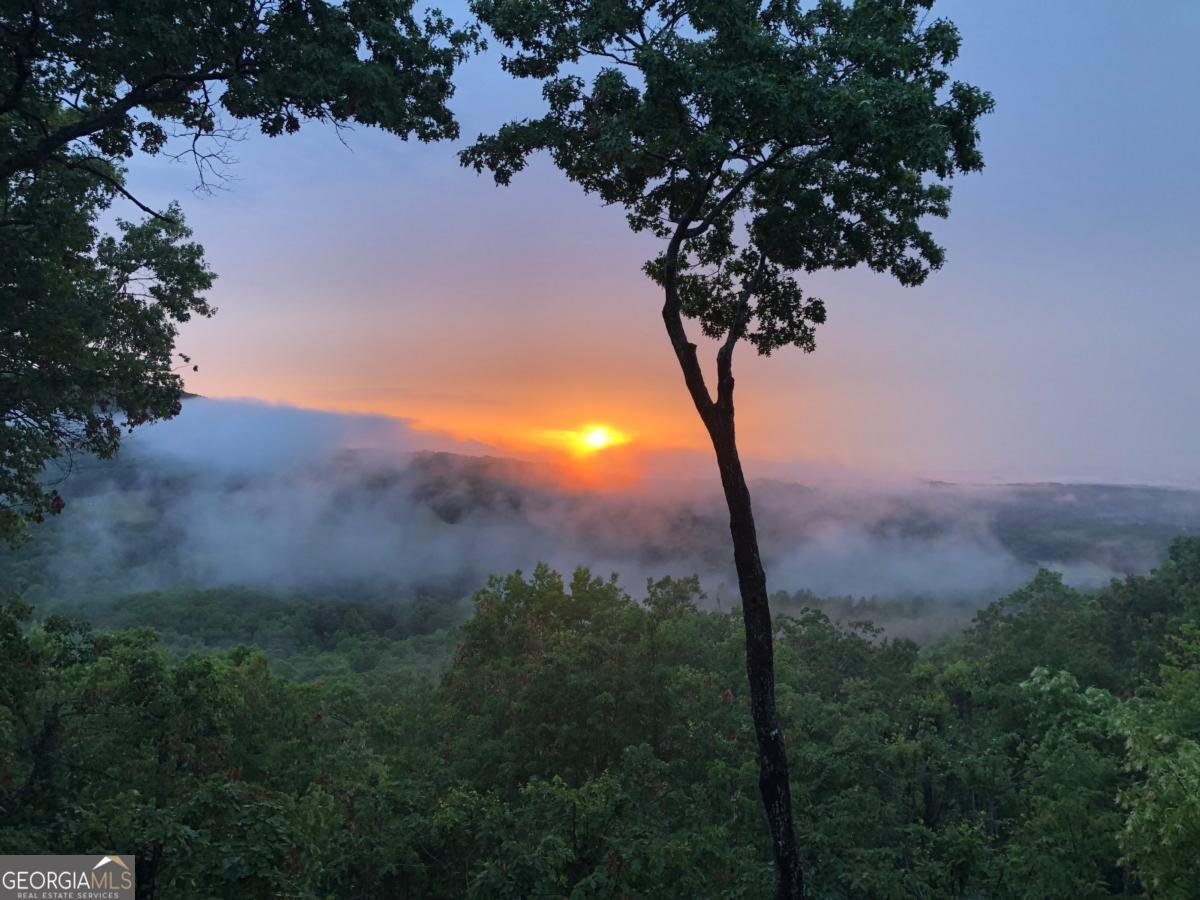 195 Hoot Owl Ridge Morganton - 46