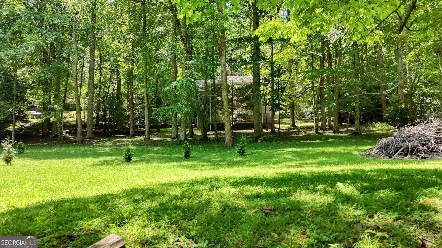 222 Bryant Cove Road Blairsville - 44