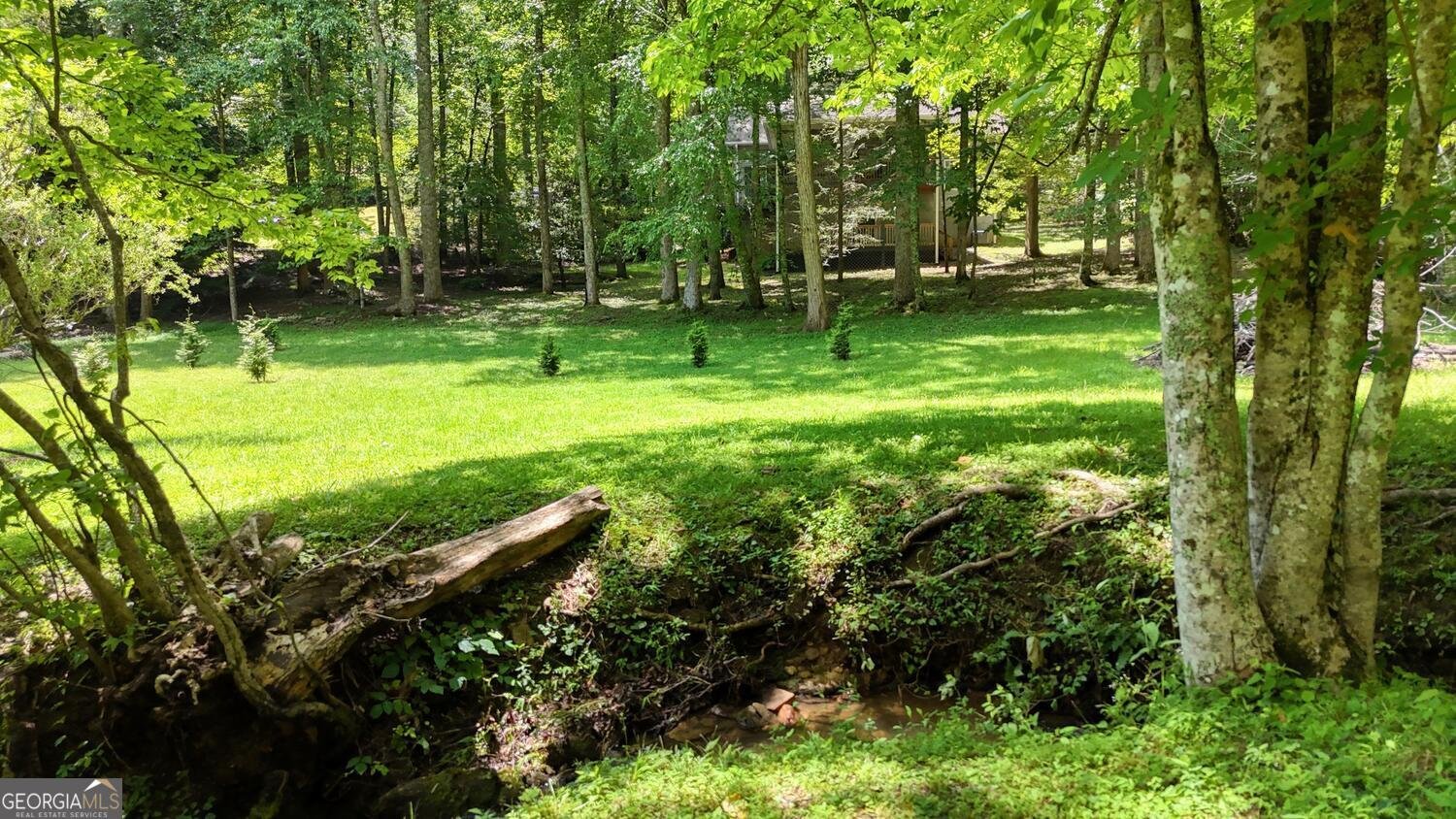 222 Bryant Cove Road Blairsville - 45