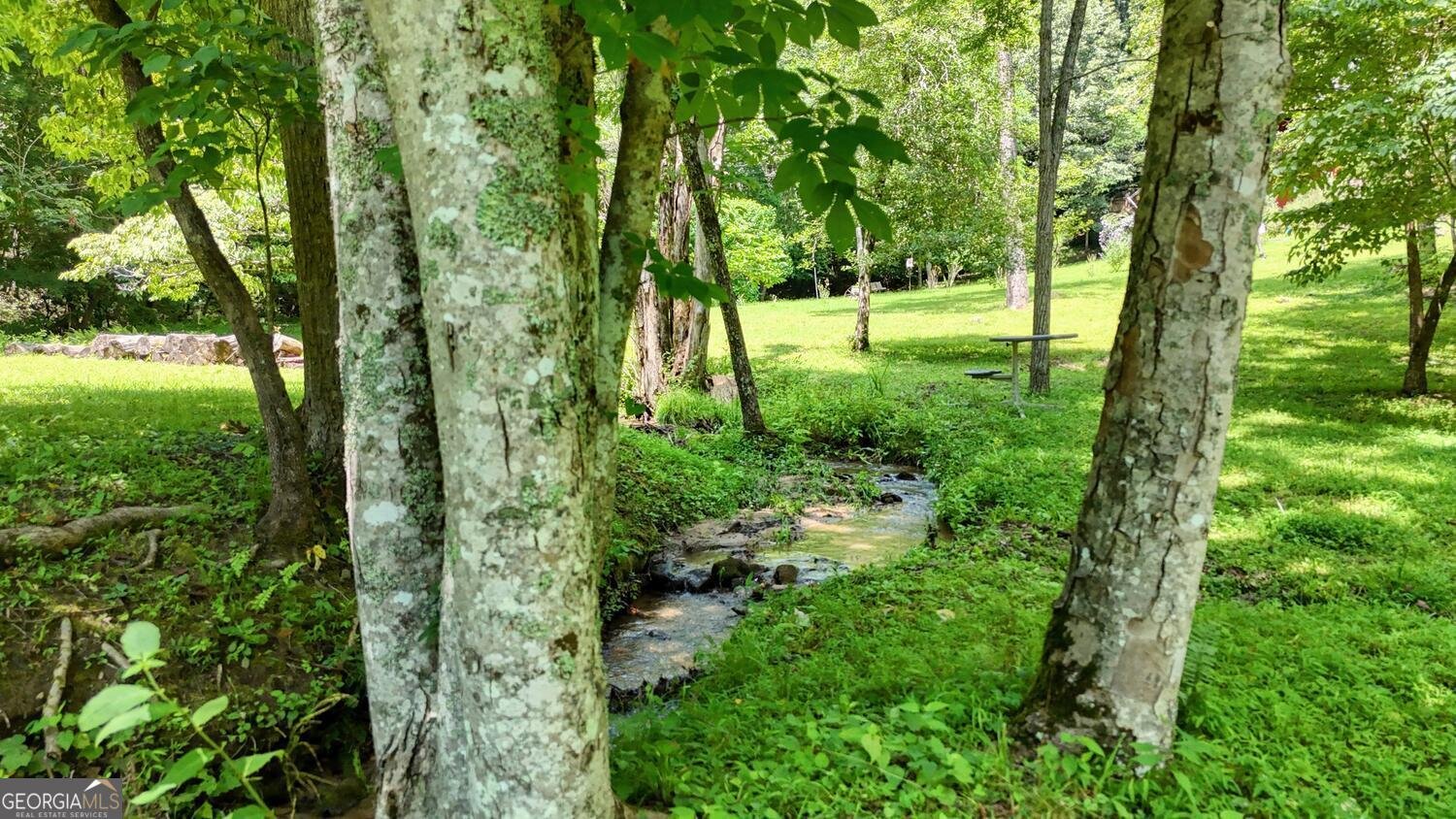 222 Bryant Cove Road Blairsville - 46