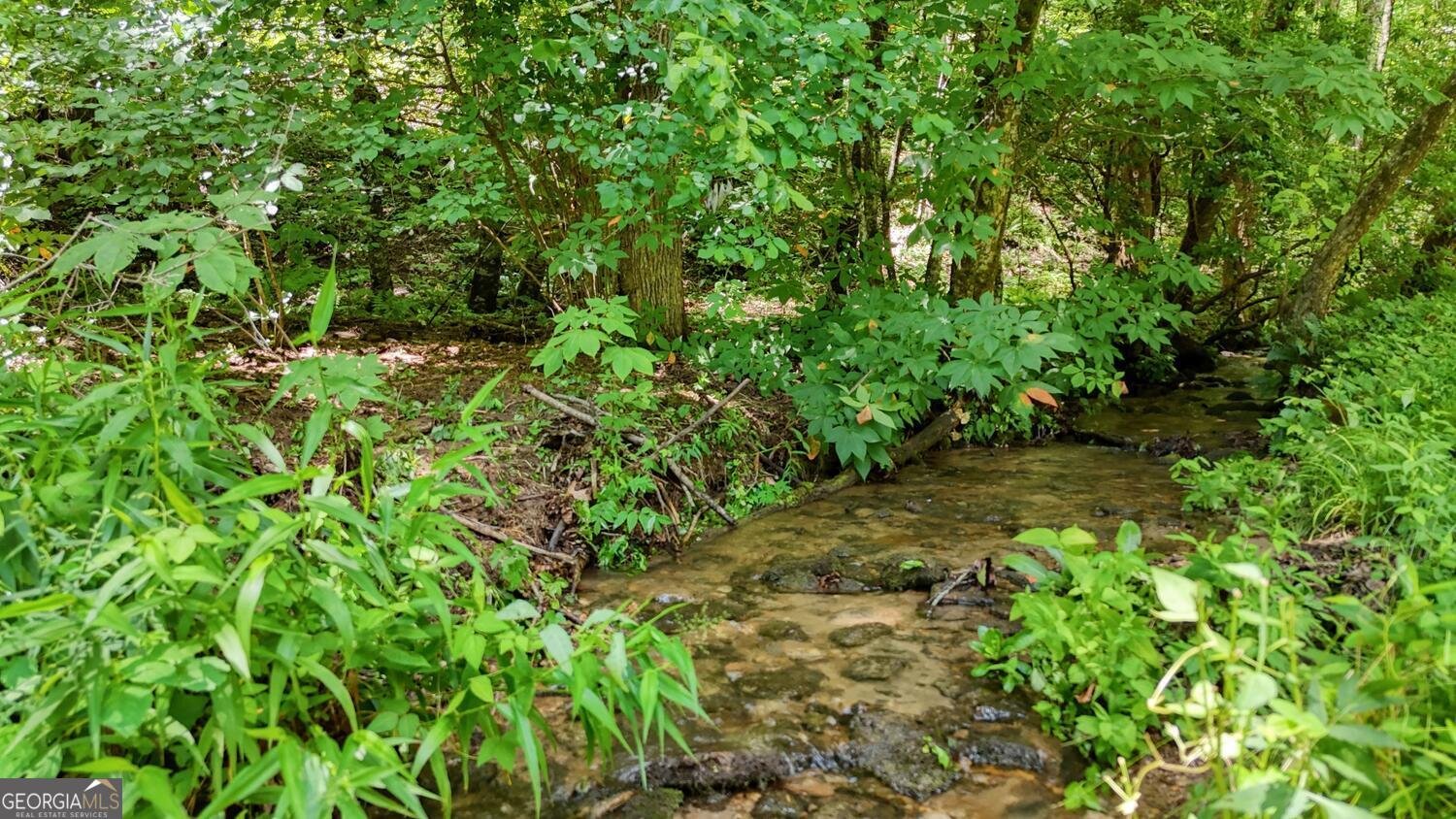 222 Bryant Cove Road Blairsville - 47
