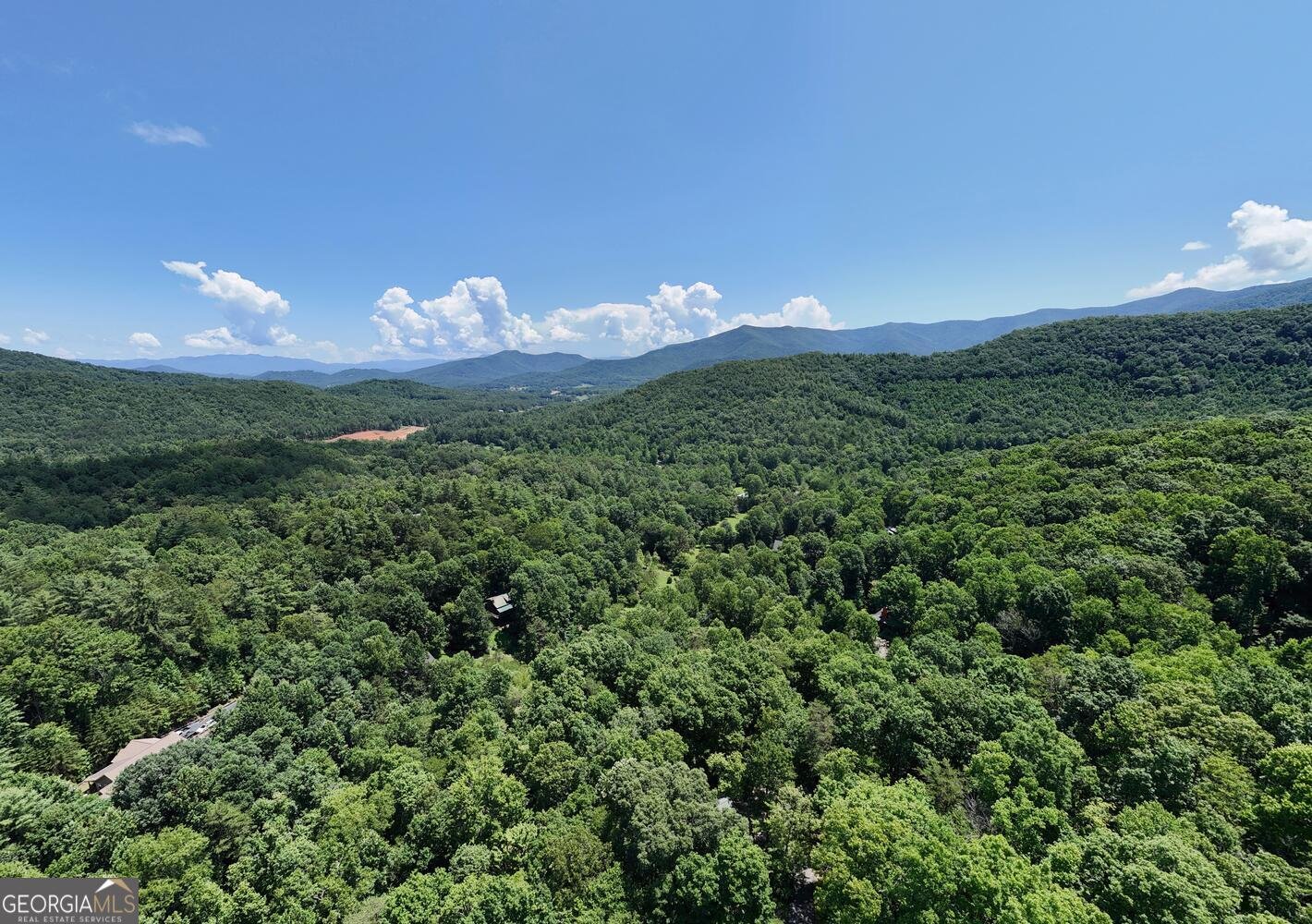222 Bryant Cove Road Blairsville - 52
