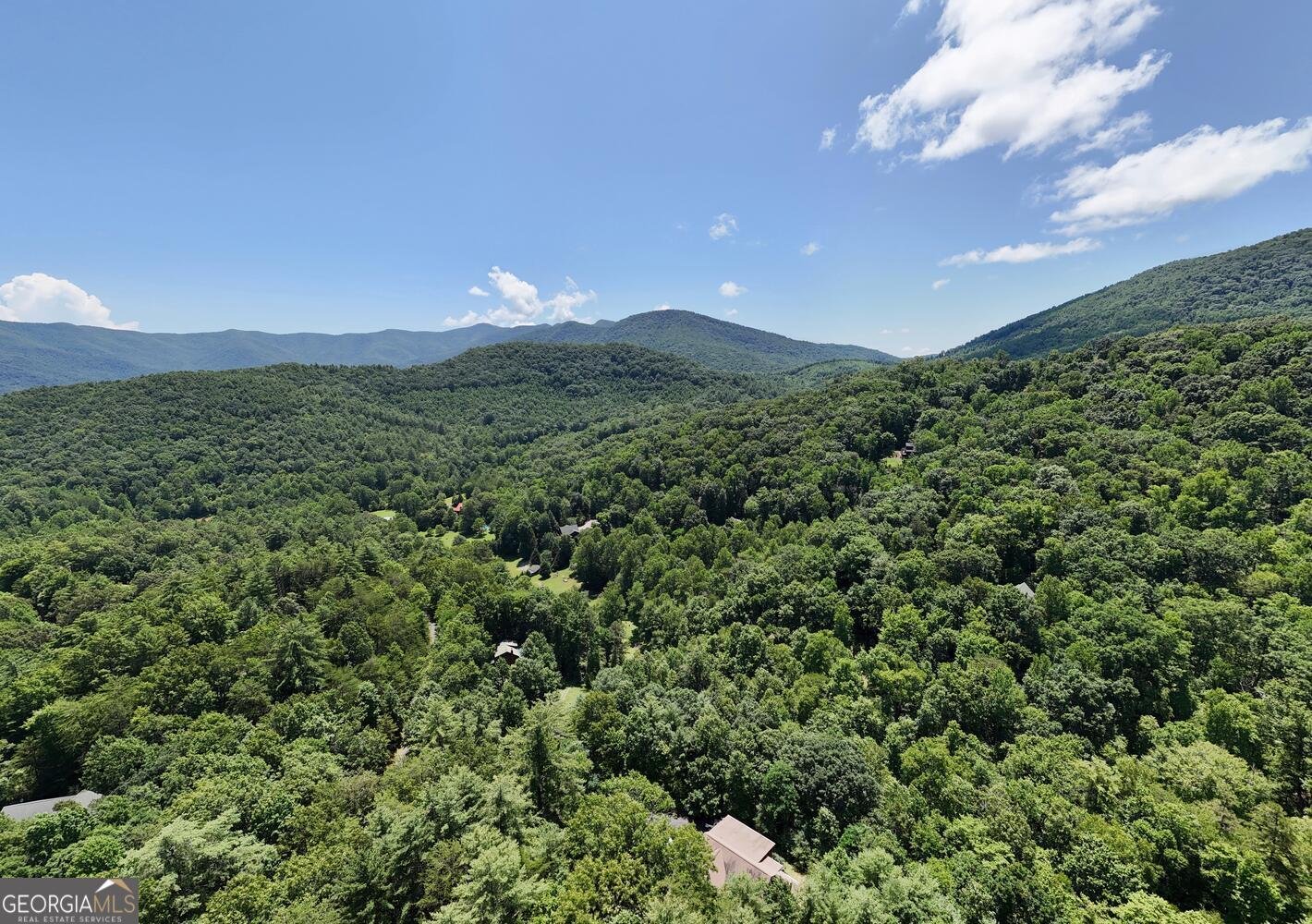 222 Bryant Cove Road Blairsville - 53