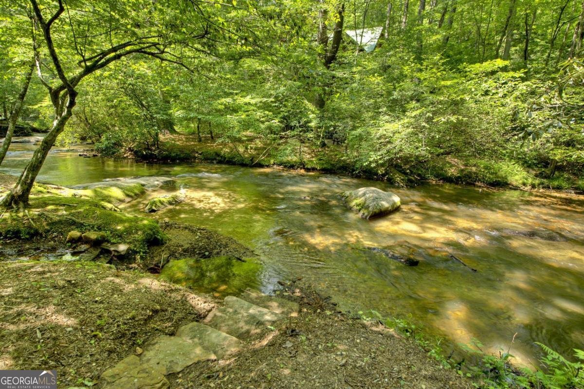 251 Rockhouse Road Cherry Log - 33