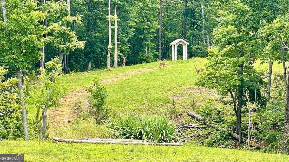 7460 Highway 101 Rockmart - 29
