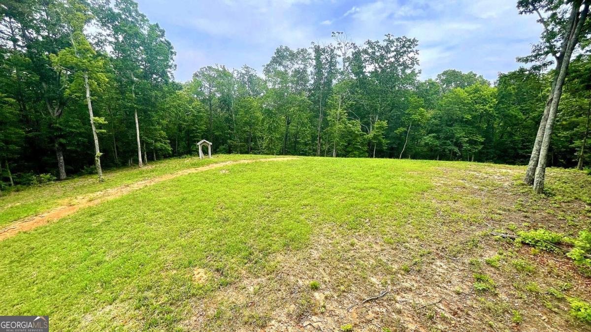 7460 Highway 101 Rockmart - 31