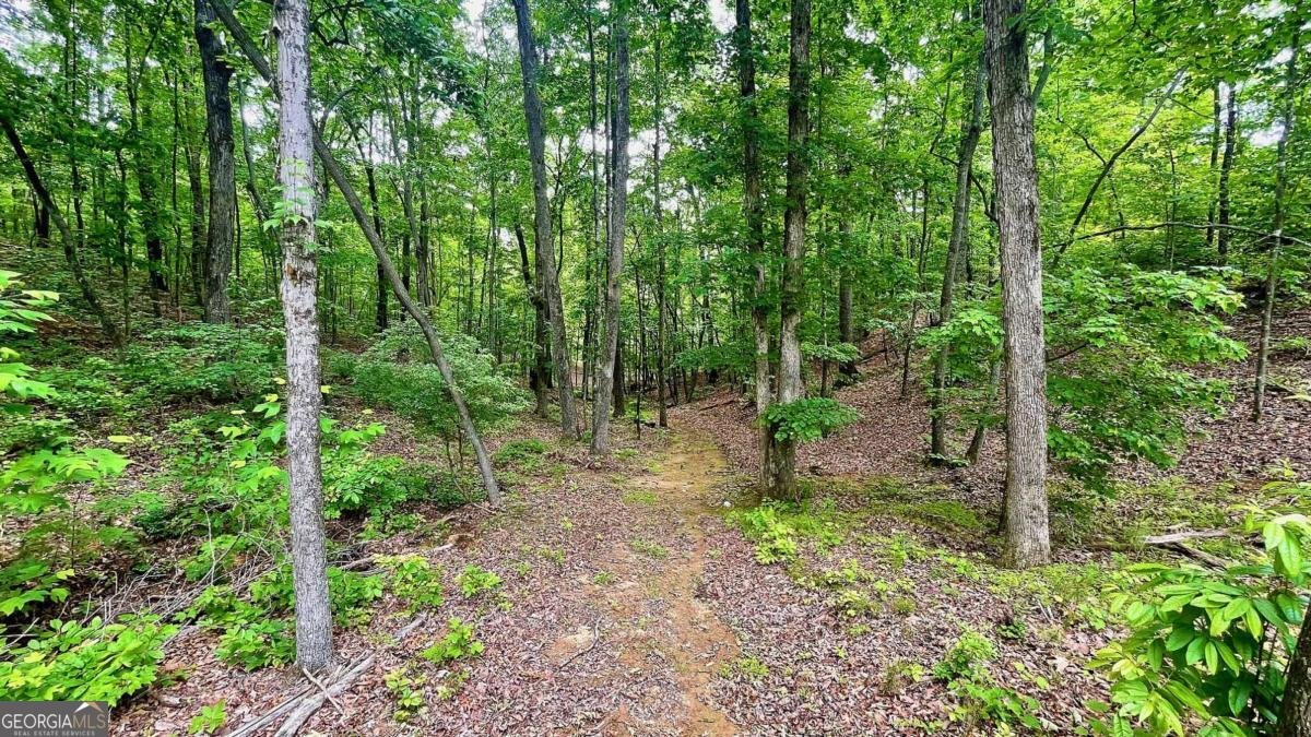 7460 Highway 101 Rockmart - 32