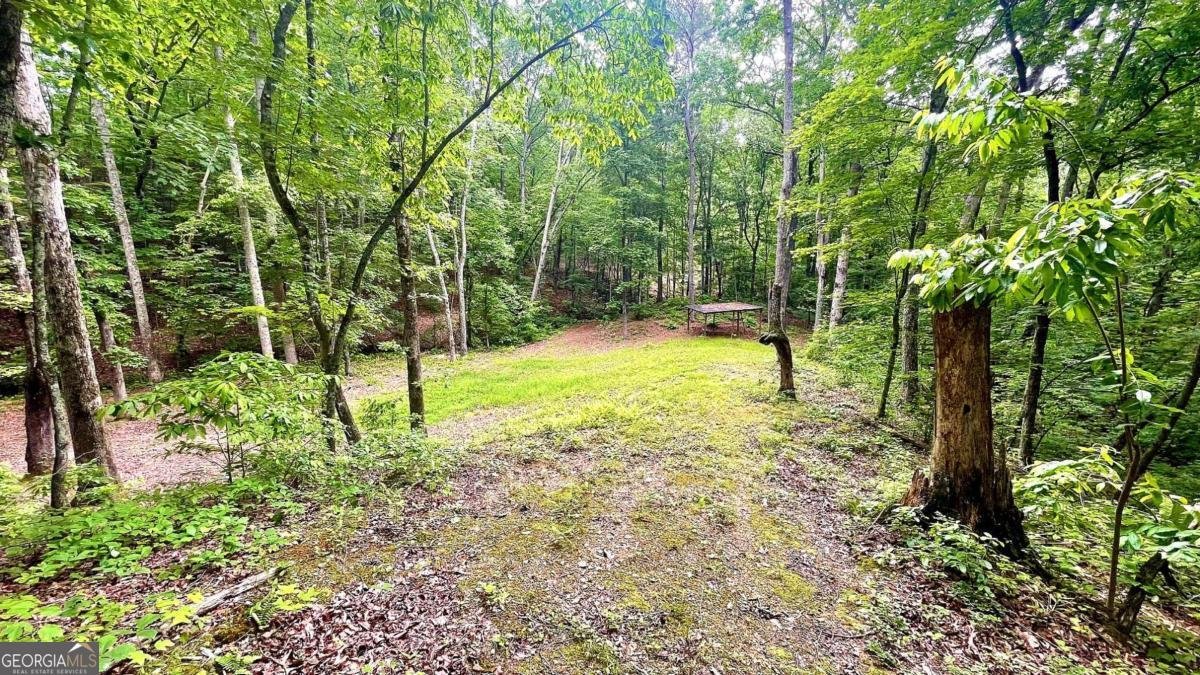 7460 Highway 101 Rockmart - 41