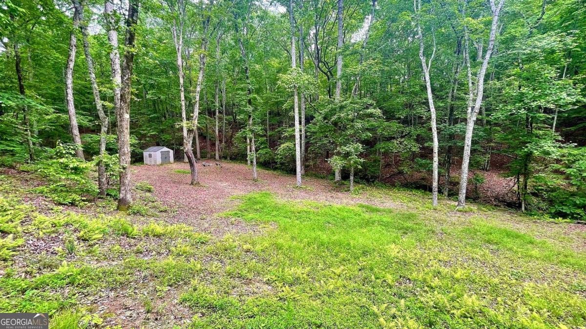 7460 Highway 101 Rockmart - 43