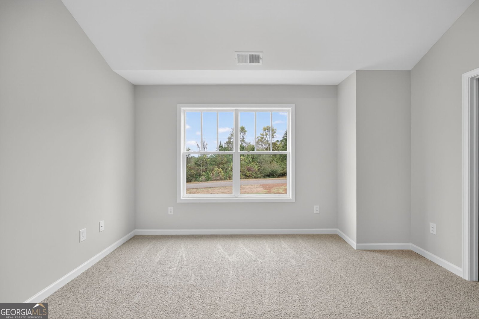 417 Gray Road Roopville - 22