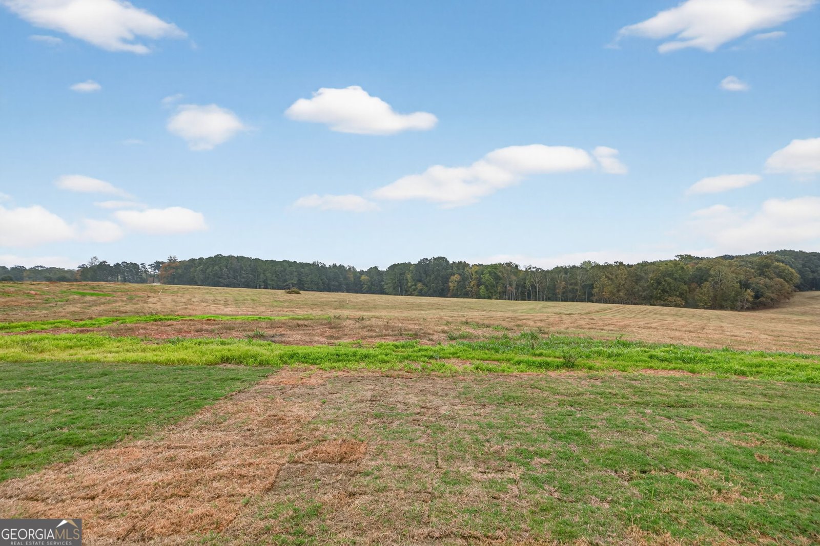 417 Gray Road Roopville - 31