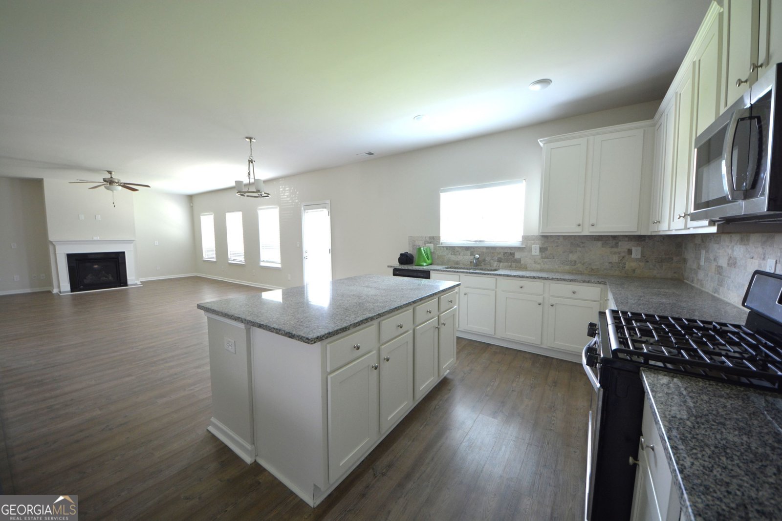 2504 Bear Mountain Street Lithonia - 6