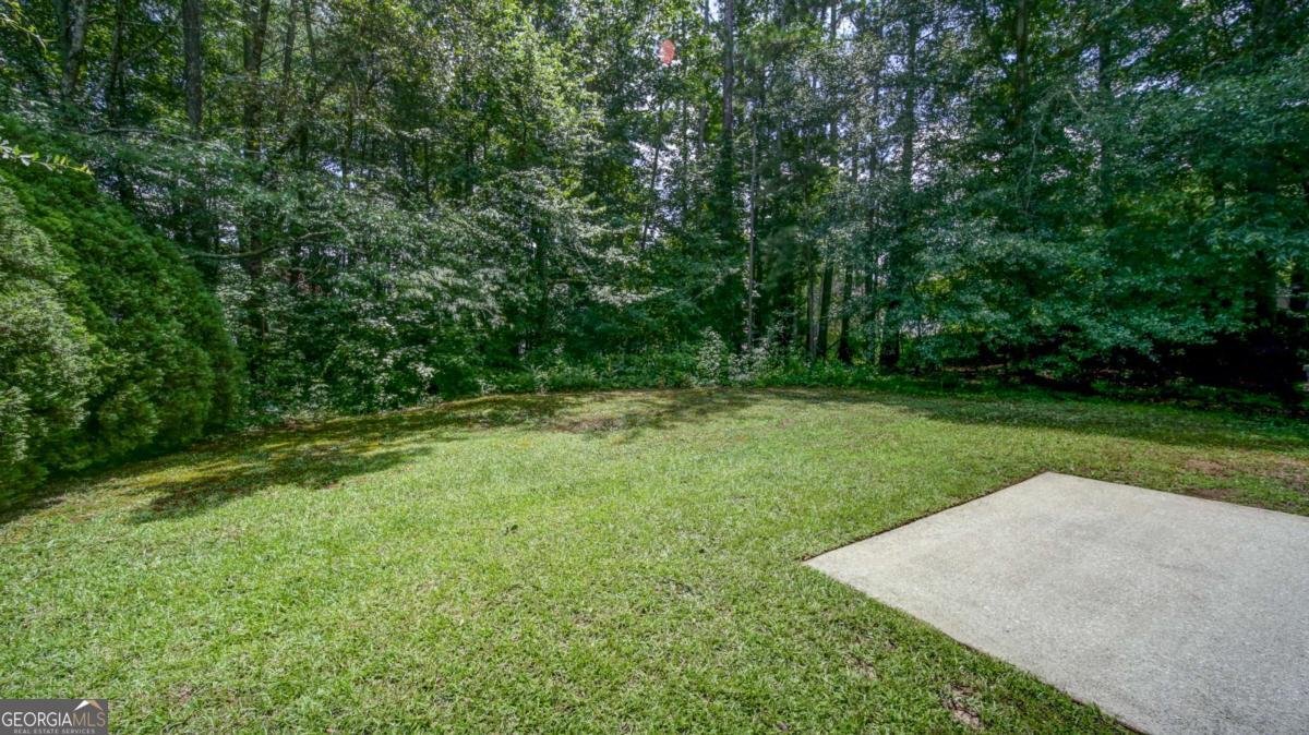 2161 Denson Lane Marietta - 17
