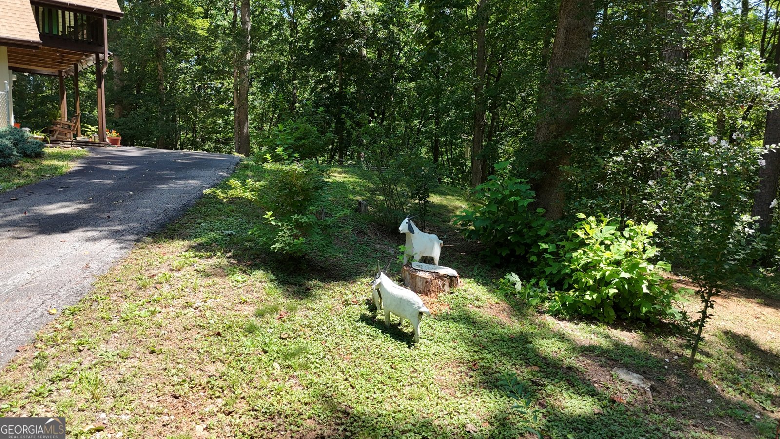 511 Rainey Mountain Road Clayton - 36