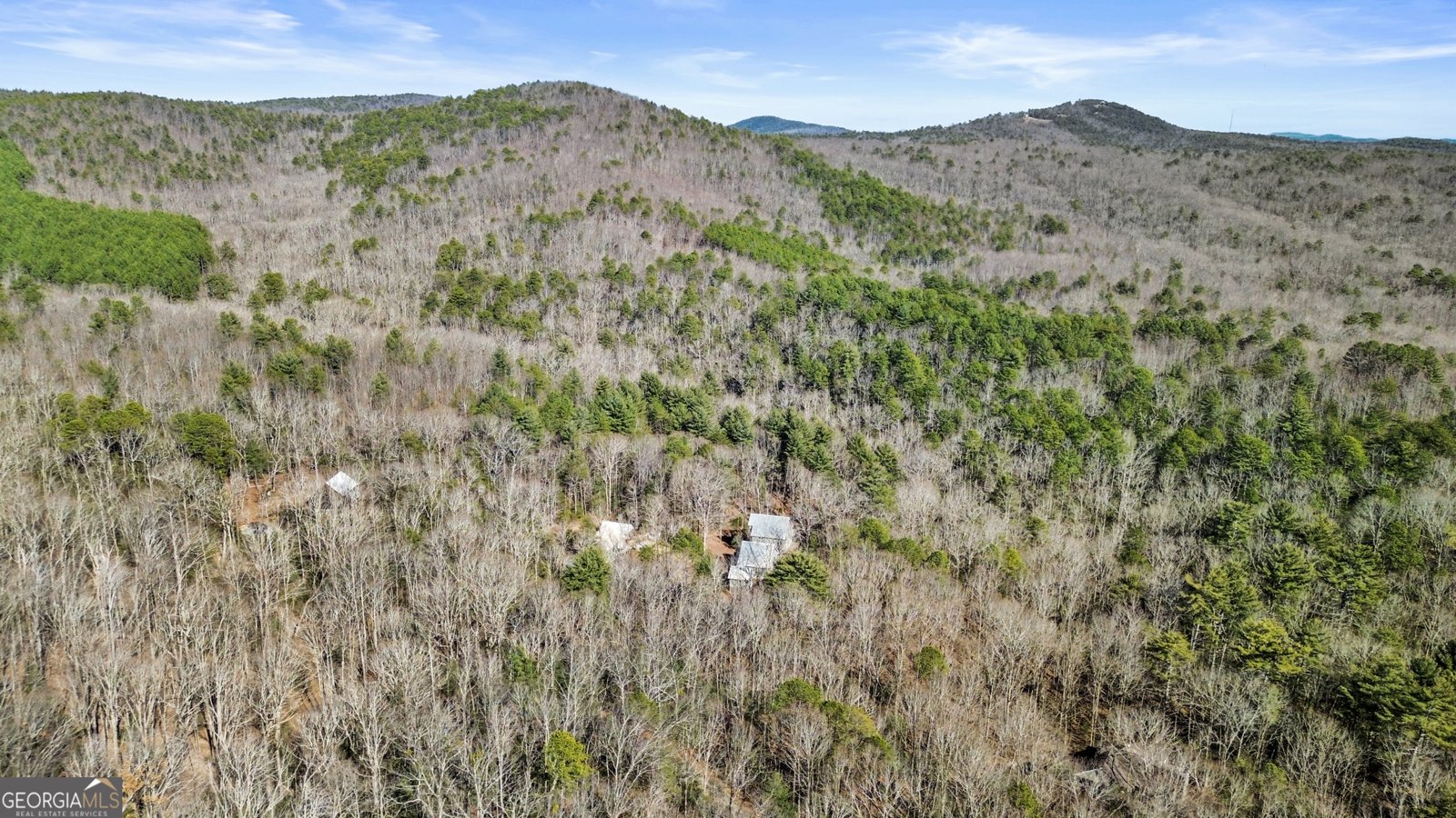 600 Glendale Drive Clarkesville - 5