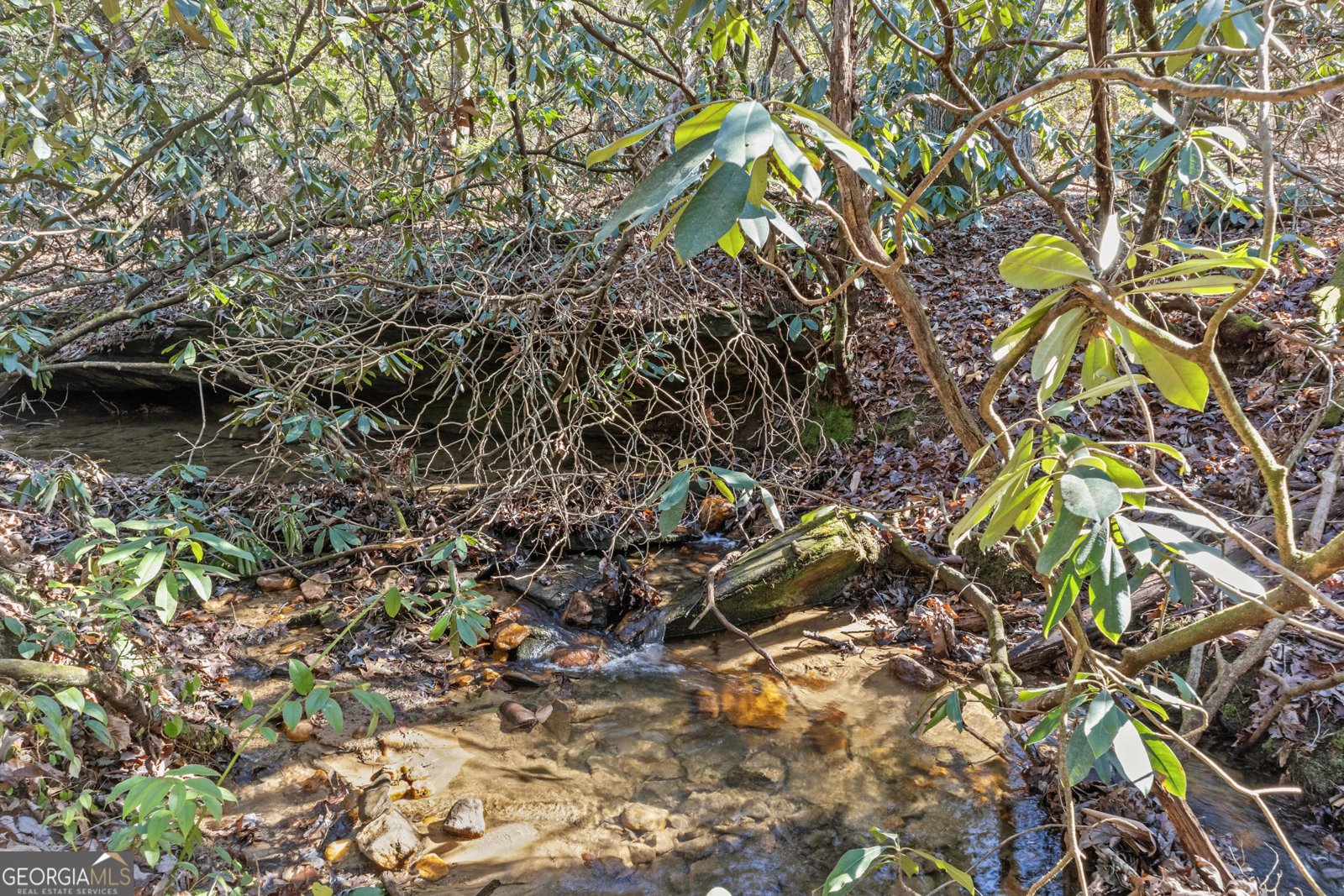 600 Glendale Drive Clarkesville - 60