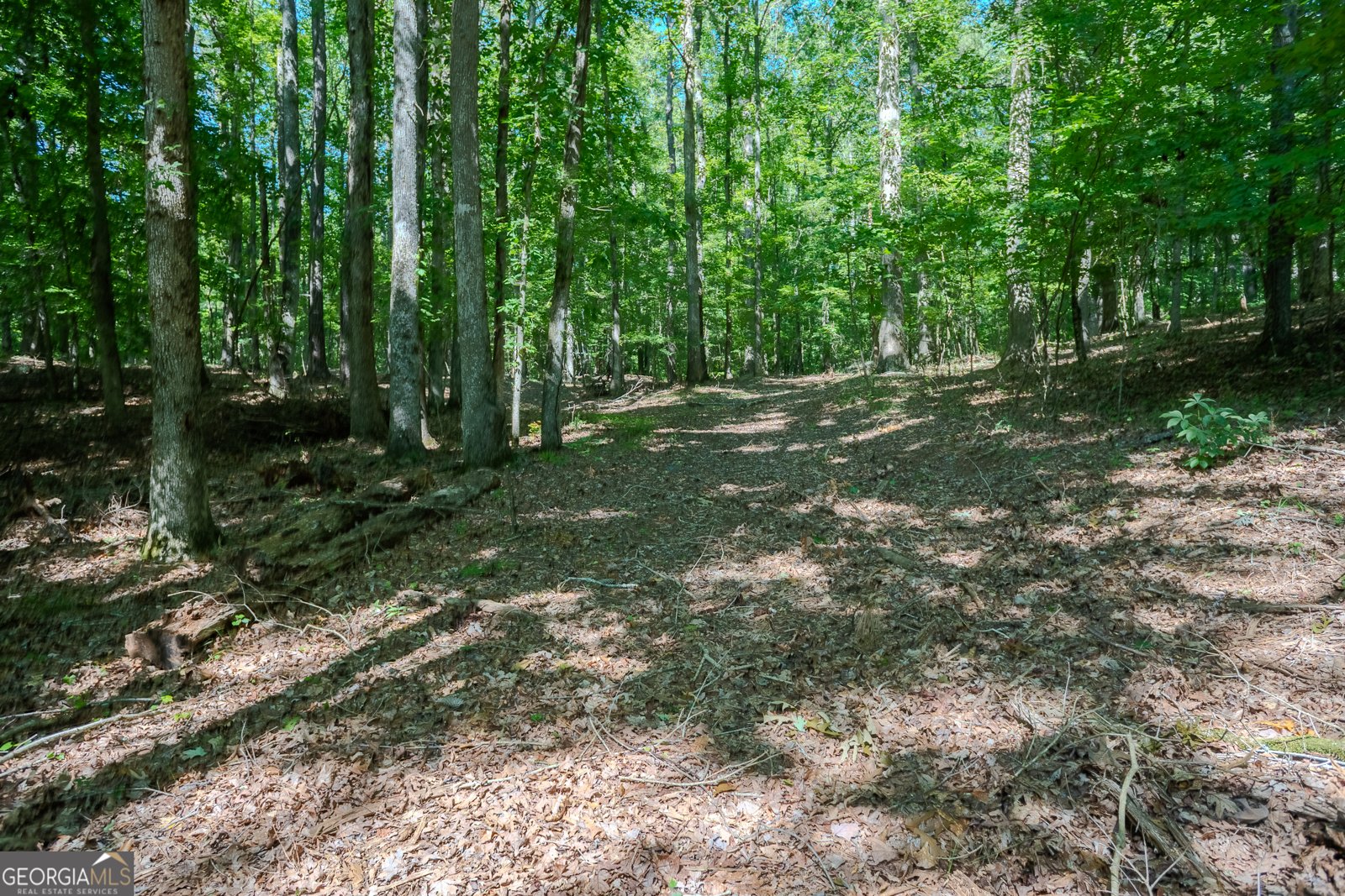 360 Darren Drive Fayetteville - 50