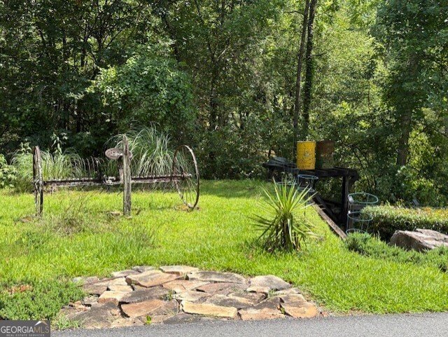 668 Gold Cove Drive Dahlonega - 11