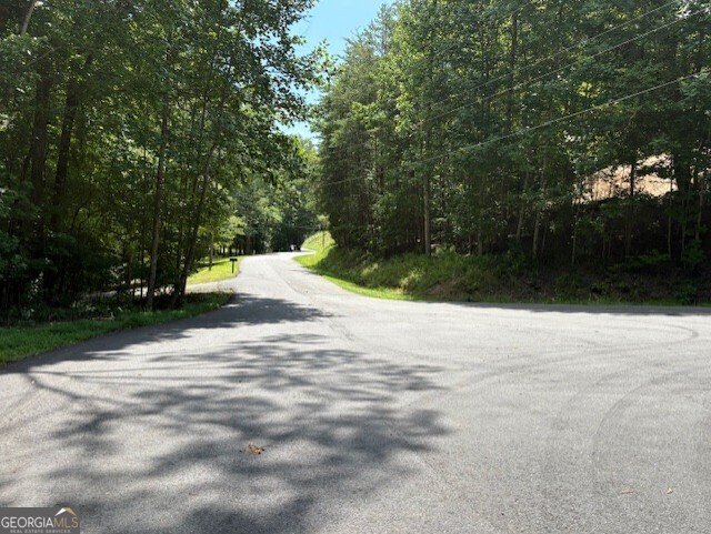 668 Gold Cove Drive Dahlonega - 12